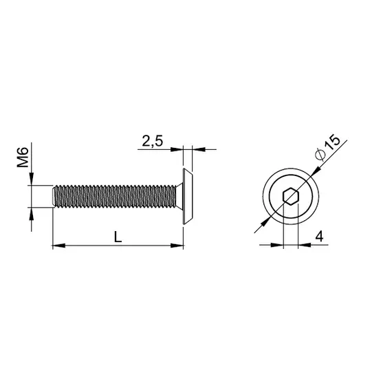 Винт с полукруглой головкой под шестигранник M6 X 100 арт.562.6100.40 - 1